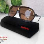 نظارة شمسية كاريرا 2026 carrera endurance شمبر بني تايجر