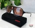 نظارة شمسية كاريرا 2026 carrera Safari شمبر بني